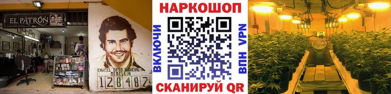 Где купить наркоту Владимир ГАШИШ  КОКАИН  МЕФ  Галлюциногенные грибы  Конопля  СК 