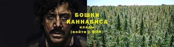 ECSTASY Вязьма